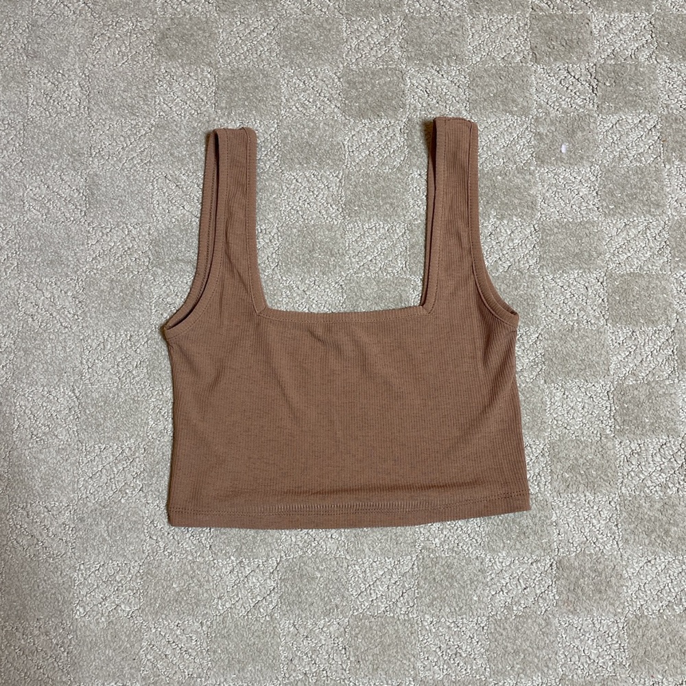 Tan Shein Crop Top